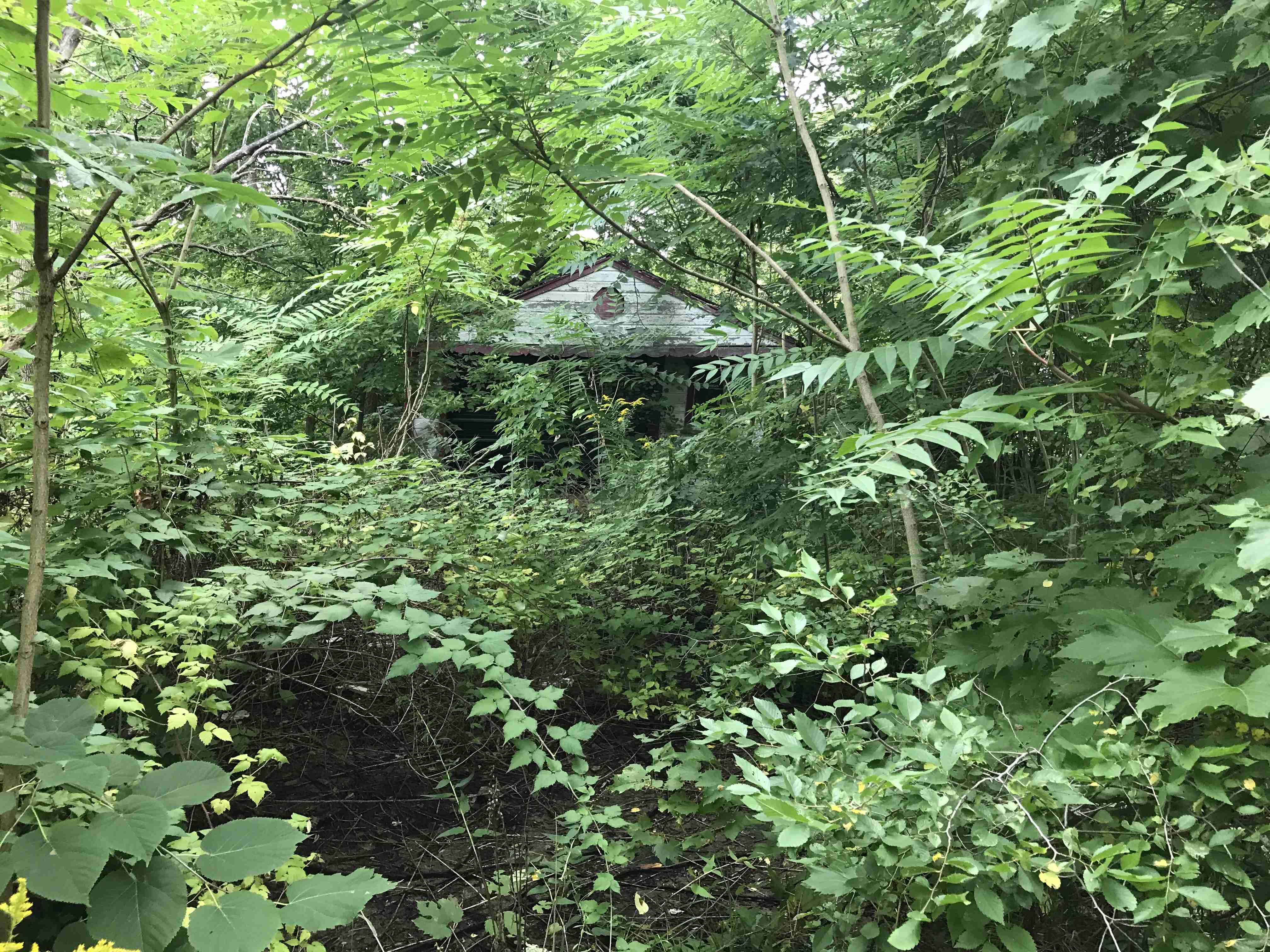 Photo Sep 09, 5 54 34 PM.jpg